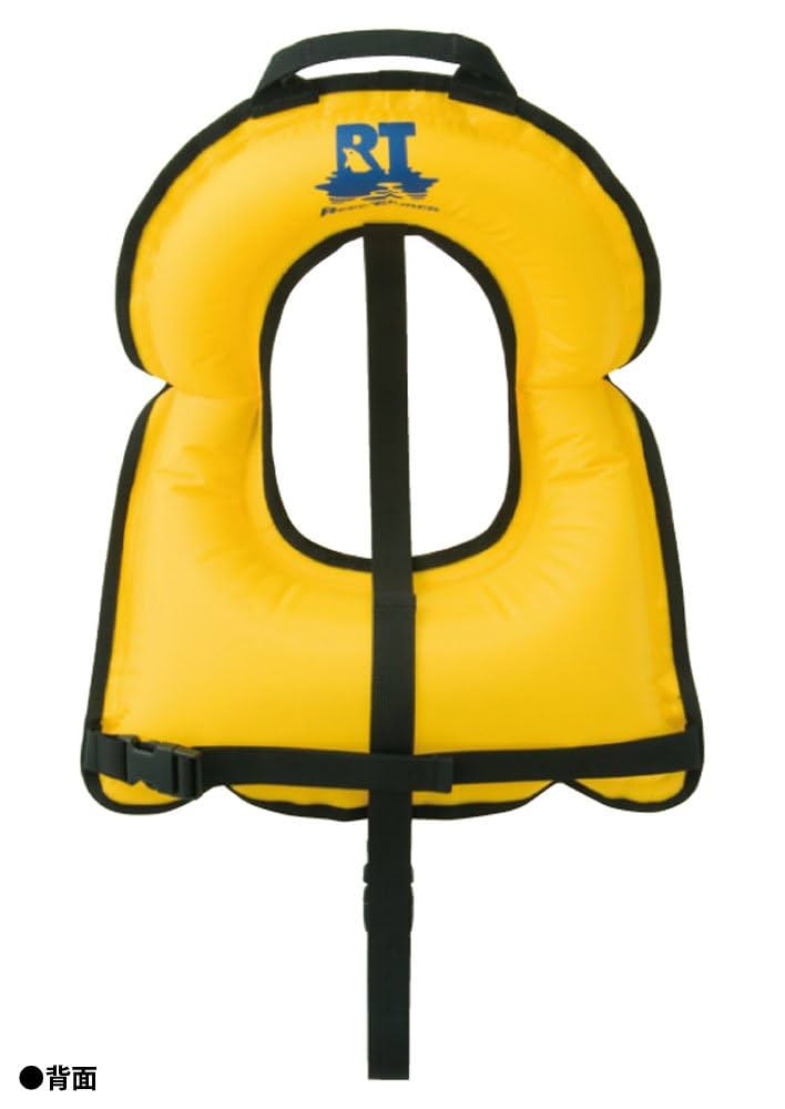 子供用スキー ストックセット アナ雪 水色 メイドインジャパン